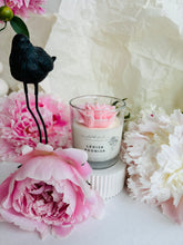 Load image into Gallery viewer, dabīgās vaska sveces, Dzimšanas dienas dāvana sievietei, Dāvanas sievietēm, biznesa dāvanas, Ekskluzīvas dāvanas sievietēm, kolēģēm vārdā dienā, dzimšanas dienā, aromātiskā sojas vaska svece "Peonijas apskāviens" Ilze Ērgle-Vanaga, I.ĒV