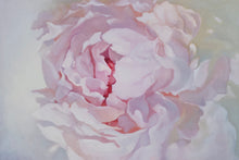 Load image into Gallery viewer, Lielformāta eļļas glezna uz audekla peonija māksliniece Ilze Ērgle-Vanaga