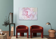 Load image into Gallery viewer, Lielformāta eļļas glezna uz audekla peonija māksliniece Ilze Ērgle-Vanaga