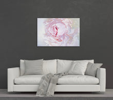 Load image into Gallery viewer, Lielformāta eļļas glezna uz audekla peonija māksliniece Ilze Ērgle-Vanaga