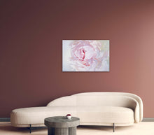 Load image into Gallery viewer, Lielformāta eļļas glezna uz audekla peonija māksliniece Ilze Ērgle-Vanaga