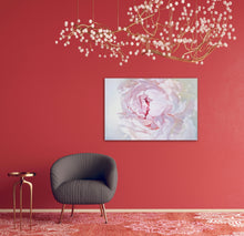 Load image into Gallery viewer, Lielformāta eļļas glezna uz audekla peonija māksliniece Ilze Ērgle-Vanaga