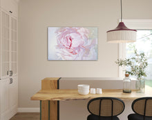 Load image into Gallery viewer, Lielformāta eļļas glezna uz audekla peonija māksliniece Ilze Ērgle-Vanaga