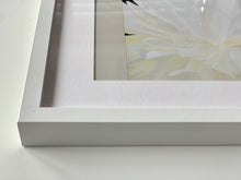 Load image into Gallery viewer, PRINTS | Peony XII | 2021