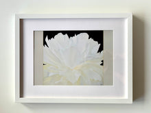 Load image into Gallery viewer, PRINTS | Peony XII | 2021