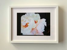 Load image into Gallery viewer, PRINTS | Peonies XVIIII | 2021
