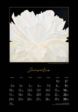 Load image into Gallery viewer, Sienas kalendārs 2022 | "NAKTS"