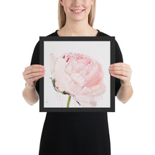 Load image into Gallery viewer, GLEZNU IZDRUKAS | PEONIJA XV | balts, melns rāmis | dažādi izmēri