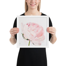 Load image into Gallery viewer, GLEZNU IZDRUKAS | PEONIJA XV | balts, melns rāmis | dažādi izmēri