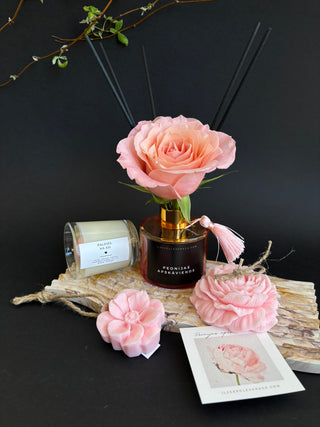 Dāvanas sievietēm, dāvanas meitenēm, dzimšanas dienas dāvana, dāvanas mammai, dāvana vārda dienā, dāvanu komplekts sievietei, biznesa dāvanas. Sveces roku darbs, mājas aromāti ar kociņiem, sojas vaska sveces, latvijā ražotas sveces, sveces dāvanai, aromātiskās sveces, eko sveces, skaistas sveces, Ilze Ērgle Vanaga, Peonijas apskāvienos, Lēdija peonija, roku darbs, I.EV