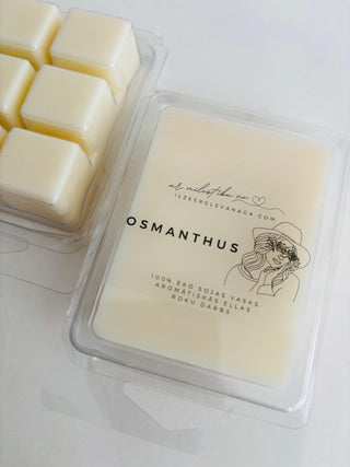 Vaska kubiņi aromlapām, Aromātiskie vaski, Aromatizēti vaska gabaliņi, Kausējams aromAātiskais vasks, Aromatizēti vaska gabaliņi