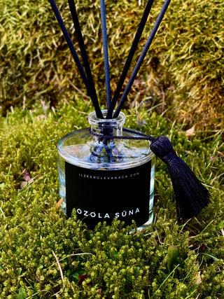 Mājas aromāts ar melniem kociņiem Ozola sūna, Ilze Ērgle Vanaga, izsmalcinātas mājas smaržas.