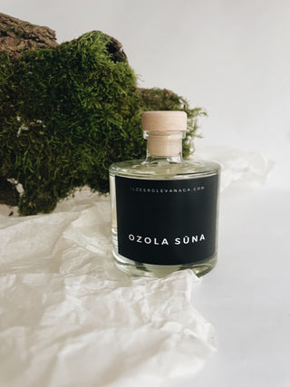 Mājas aromāts ar melniem kociņiem Ozola sūna, Ilze Ērgle Vanaga, izsmalcinātas mājas smaržas.