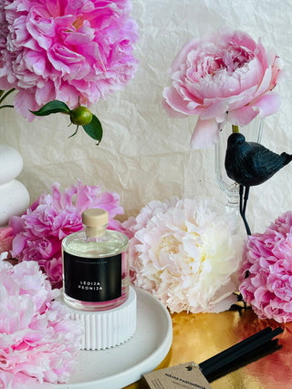 Mājas smaržas, mājas aromāti, interjera aromāti, mājas smaržas ar kociņiem, telpu aromatizētāji, mājas aromatizētāji, mājas parfimērija, dāvanu komplekts sievietei, Lēdija peonija, Peonijas apskāviens, Ilze Ērgle - Vanaga, dāvanu komplekti, ekskluzīvas dāvanas, I.ĒV, biznesa dāvanas, dāvana sievietei