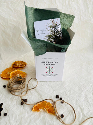 dāvanas ziemassvētkos, dāvanas ziemassvētkos kolēģiem, Ziemassvētku dāvana, sojas vaska sveces, aromātiskās sveces, dabīgās sveces, dabīgās vaska sveces, Sveces ražotas latvijā, sveces roku darbs, aromatizētas sveces, sveces dāvanai, svece ar egļu smažu, I.ĒV, ziemassvētku dāvanas, mazas ziemassvētku dāvanas, dāvanas ziemassvētkos, sirsnīgas dāvanas ziemassvētkos, praktiskas dāvanas ziemassvētkos, dāvanas kolēģiem, dāvanas klientiem, dāvana vecākiem ziemassvētkos, dāvana draudzenei ziemassvētkos