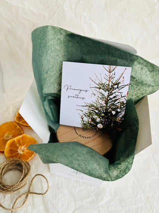 dāvanas ziemassvētkos, dāvanas ziemassvētkos kolēģiem, Ziemassvētku dāvana, sojas vaska sveces, aromātiskās sveces, dabīgās sveces, dabīgās vaska sveces, Sveces ražotas latvijā, sveces roku darbs, aromatizētas sveces, sveces dāvanai, svece ar egļu smažu, I.ĒV, ziemassvētku dāvanas, mazas ziemassvētku dāvanas, dāvanas ziemassvētkos, sirsnīgas dāvanas ziemassvētkos, praktiskas dāvanas ziemassvētkos, dāvanas kolēģiem, dāvanas klientiem, dāvana vecākiem ziemassvētkos, dāvana draudzenei ziemassvētkos