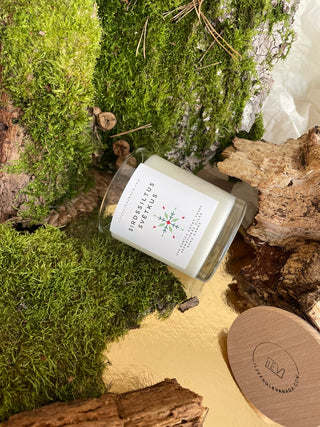 Ziemassvētku dāvana, sojas vaska sveces, sveces īpašiem dzīves mirkļiem, aromātiskās sveces, dabīgās sveces, dabīgās vaska sveces, Sveces ražotas latvijā, sveces roku darbs, aromatizētas sveces, sveces dāvanai, sveces davana, sveces dzimšanas dienai, sveces ziemassvētkiem, svece ar egļu smažu, I.ĒV, ziemassvētku dāvanas, mazas ziemassvētku dāvanas, dāvanas ziemassvētkos, sirsnīgas dāvanas ziemassvētkos, praktiskas dāvanas ziemassvētkos, dāvanu komplekti sievietei