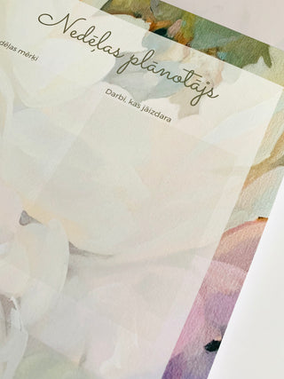 NEDĒĻAS PLĀNOTĀJS | PEONIJAS - māksliniece Ilze Ērgle-Vanaga