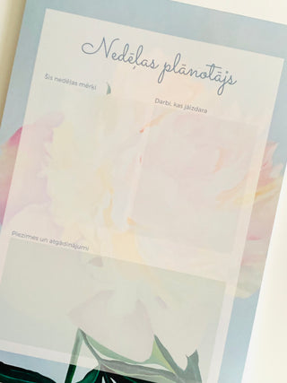 NEDĒĻAS PLĀNOTĀJS | PEONIJAS - māksliniece Ilze Ērgle-Vanaga