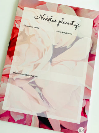 NEDĒĻAS PLĀNOTĀJS | PEONIJAS - māksliniece Ilze Ērgle-Vanaga