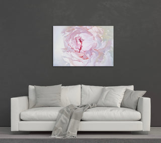 Lielformāta eļļas glezna uz audekla peonija māksliniece Ilze Ērgle-Vanaga