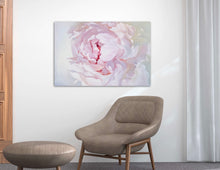 Load image into Gallery viewer, Lielformāta eļļas glezna uz audekla peonija māksliniece Ilze Ērgle-Vanaga
