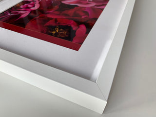 PRINTS | Peonies XXVIIII | 2021