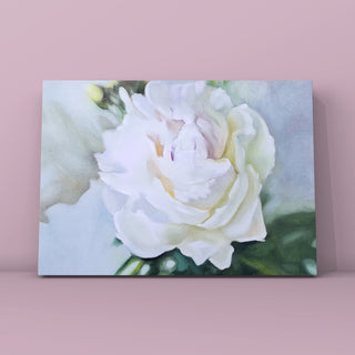 BALTS MAIGUMS | 40x50cm