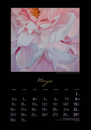 Wall Calendar 2022 | "NIGHT"