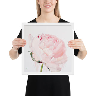 GLEZNU IZDRUKAS | PEONIJA XV | balts, melns rāmis | dažādi izmēri