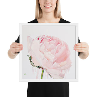 GLEZNU IZDRUKAS | PEONIJA XV | balts, melns rāmis | dažādi izmēri